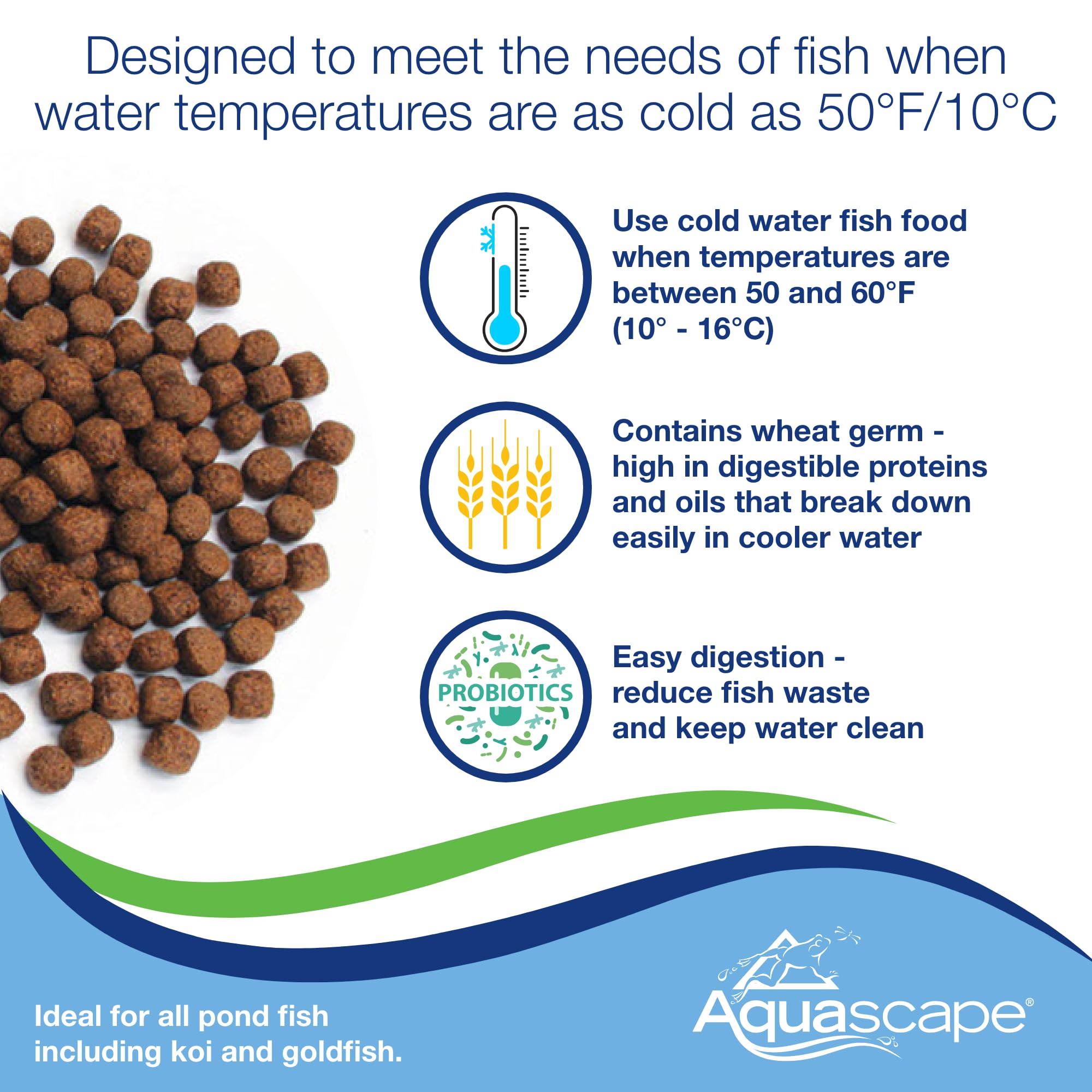 Aquascape comparaison taille dans la main, montre dimension des granulés pour poissons