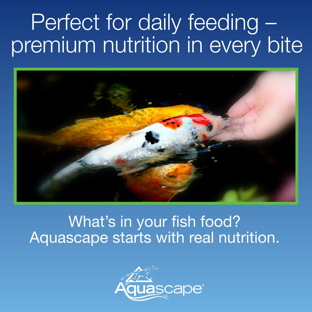 Aquascape étiquette nutritionnelle mettant en avant probiotiques et vitamine C