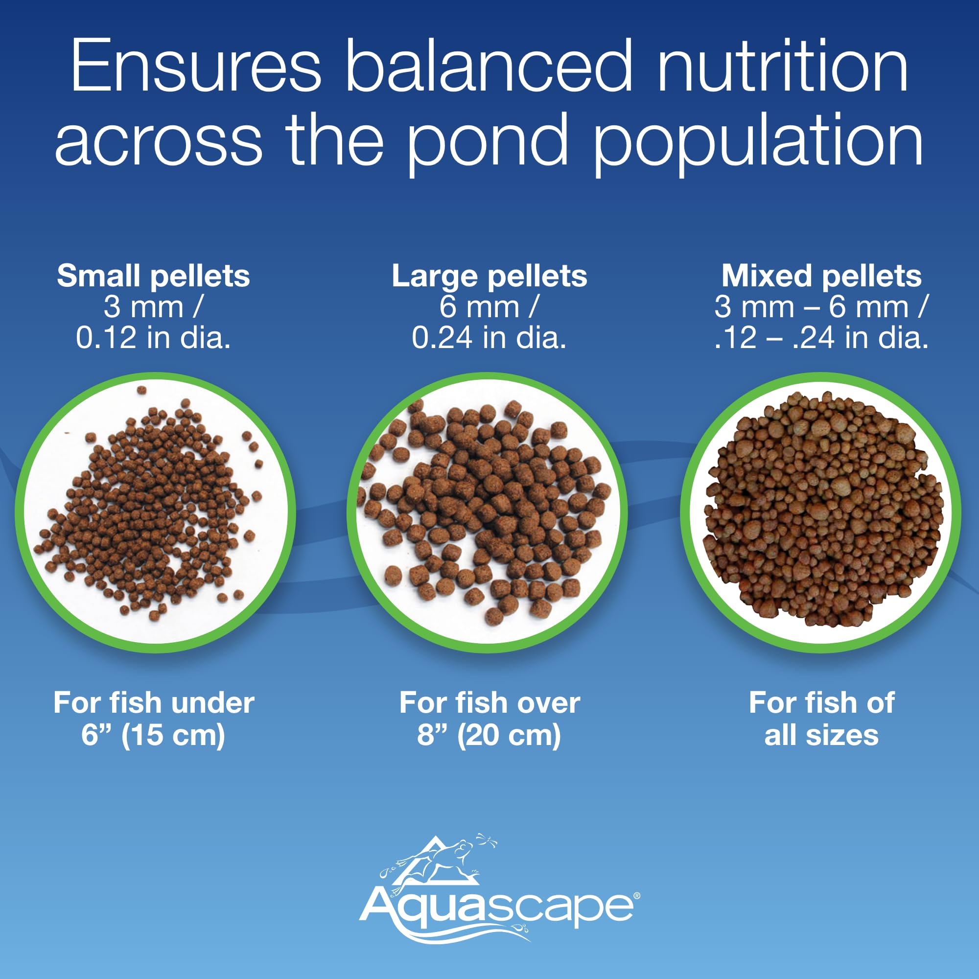 Aquascape texture des granulés indiquant haute qualité protéique