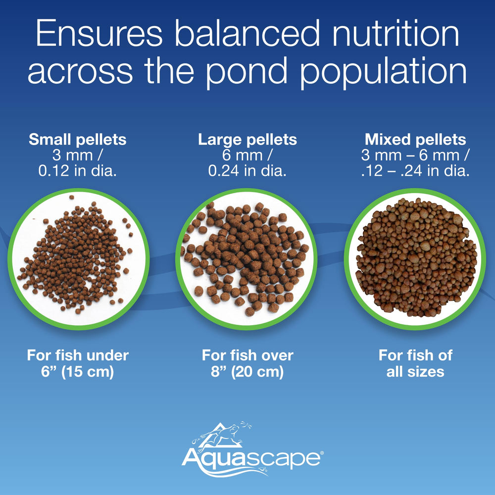 Aquascape texture des granulés indiquant haute qualité protéique