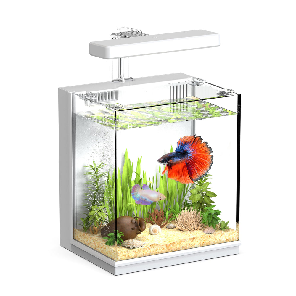 AQUASMITH vue avant de l'aquarium pour installation facile et esthétique