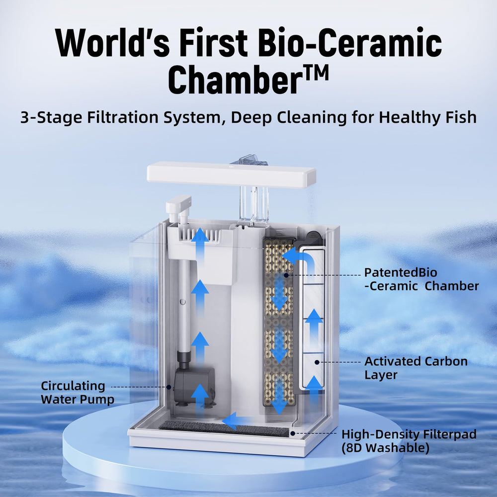 AQUASMITH cascade et surface skimmer en fonctionnement pour meilleure oxygénation