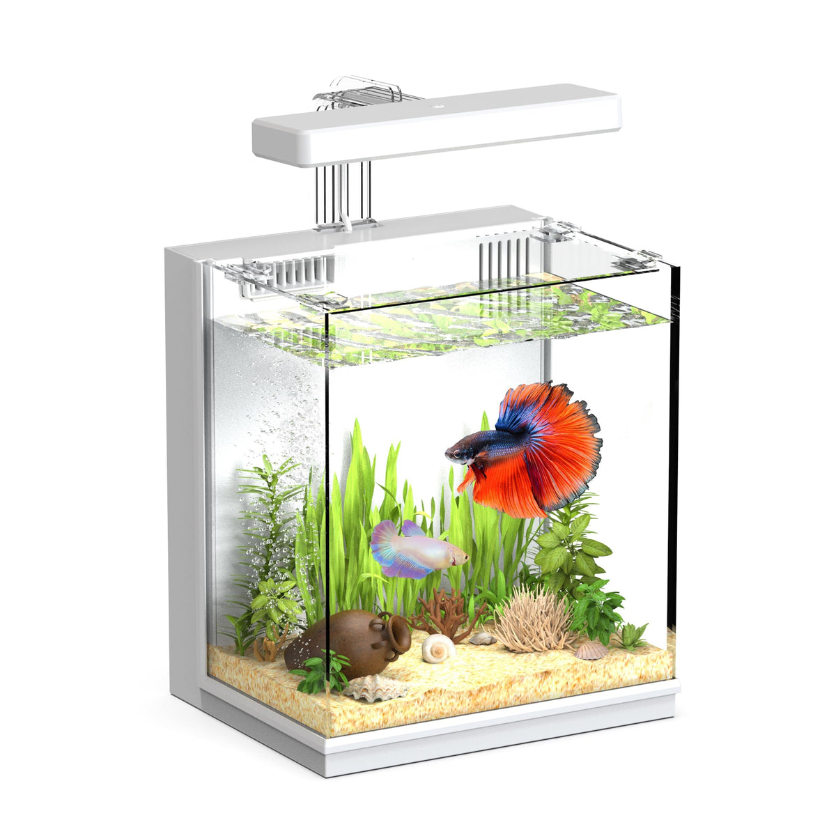 AQUASMITH vue frontale du kit complet montrant un betta vibrant et installation prête