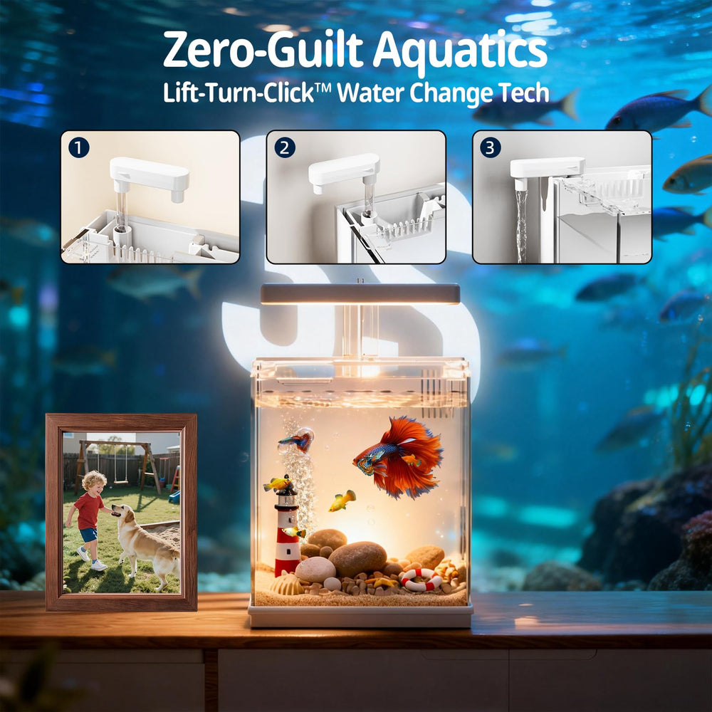 AQUASMITH éclairage LED supérieur mettant en valeur les couleurs du poisson