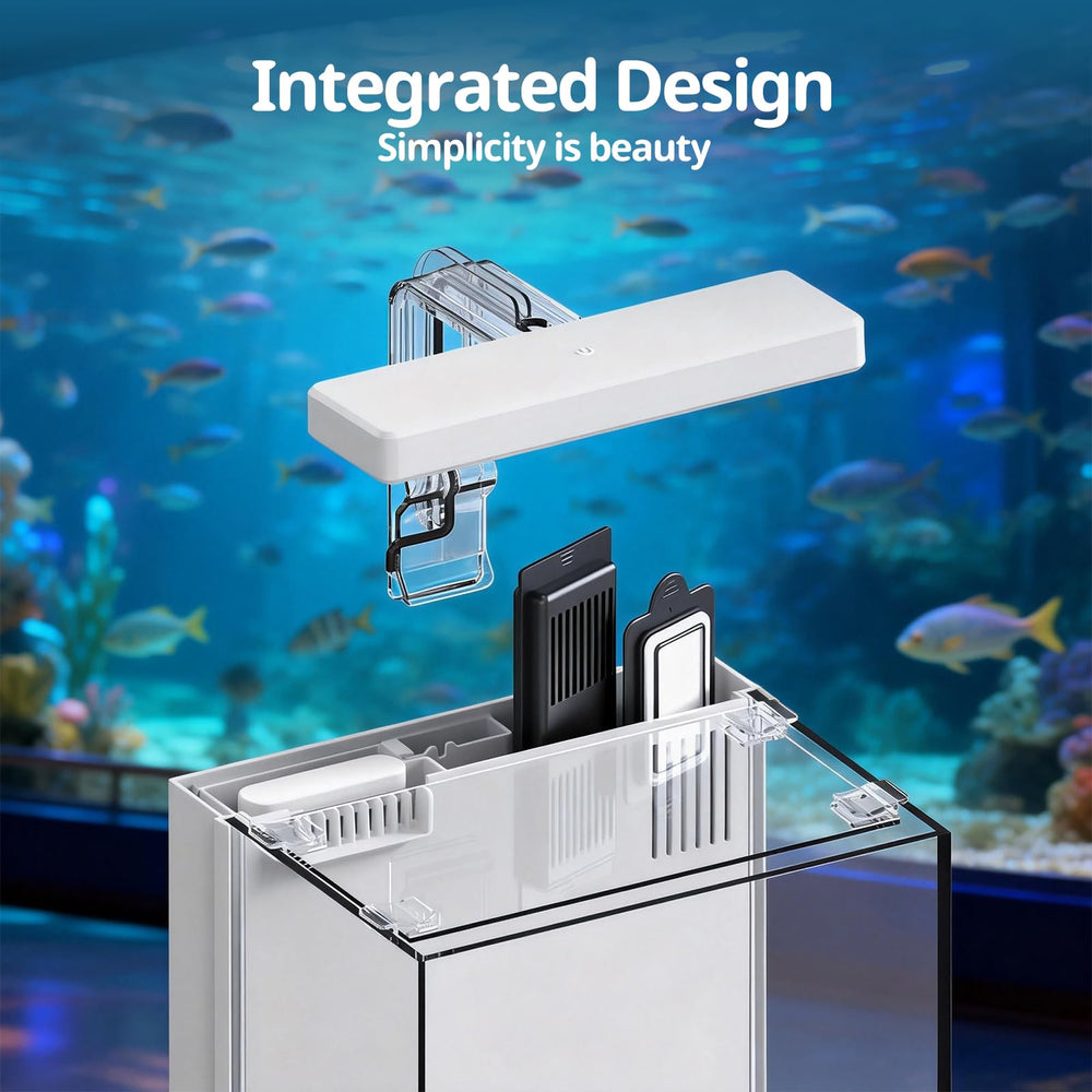 AQUASMITH aquarium posé sur un bureau montrant design compact et ambiance apaisante