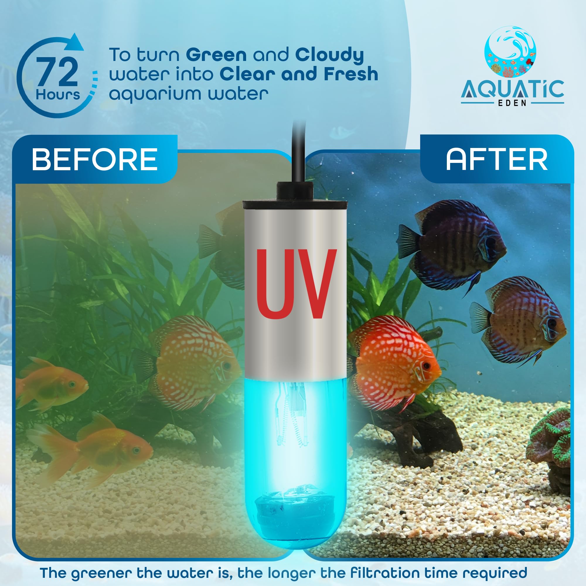 Aquatic Eden installé dans un sump illustrant efficacité en zone de fort débit