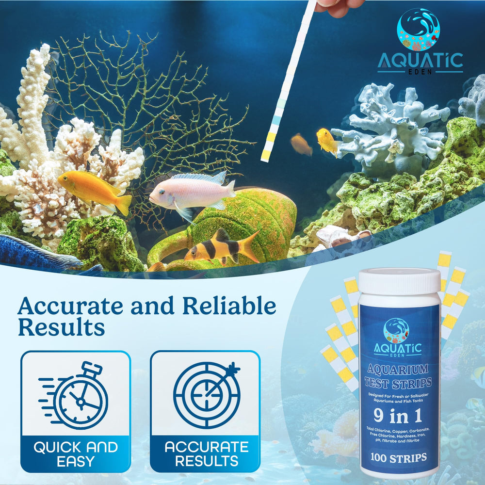 Aquatic Eden mise en situation dans un aquarium communautaire illustrant prévention des problèmes