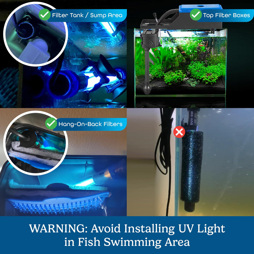 Aquatic Eden lampe tenue en main montrant l'échelle et facilité d'installation