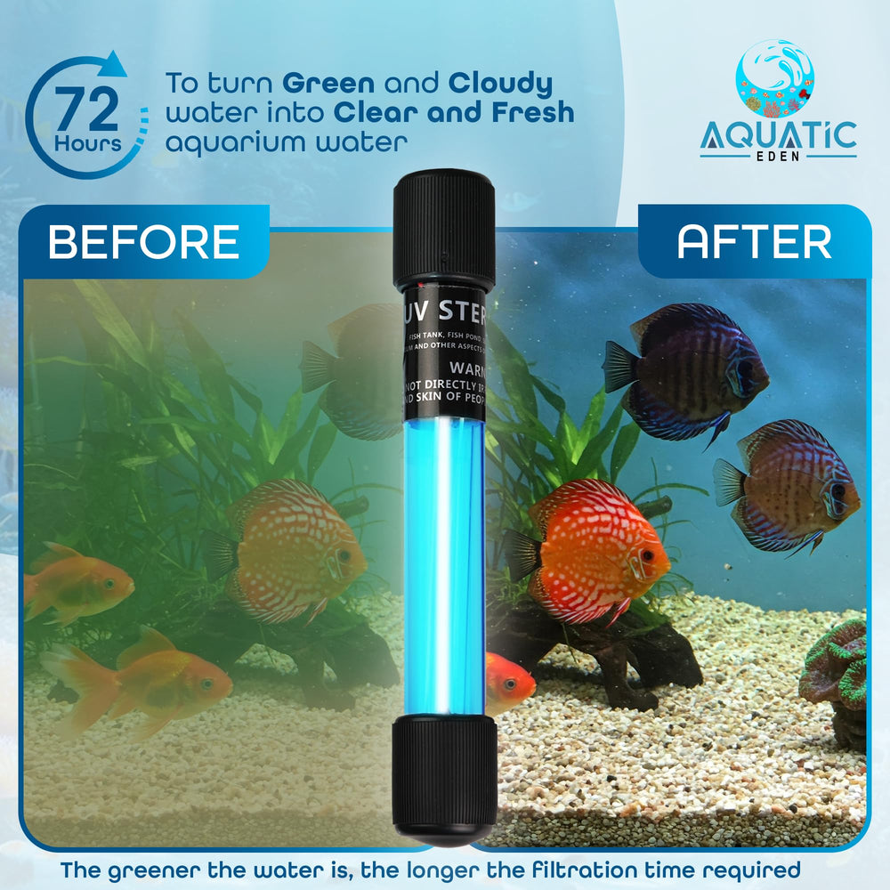 Aquatic Eden lampe positionnée dans une boîte de filtre supérieure pour traitement ciblé