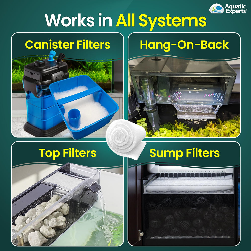 Aquatic Experts comparaison avant-après filtration, eau plus limpide