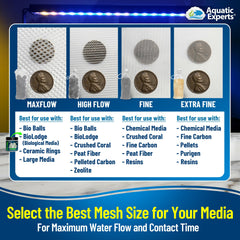 Aquatic Experts comparaison d'échelle avec une main montrant les dimensions 3 x 8 pouces