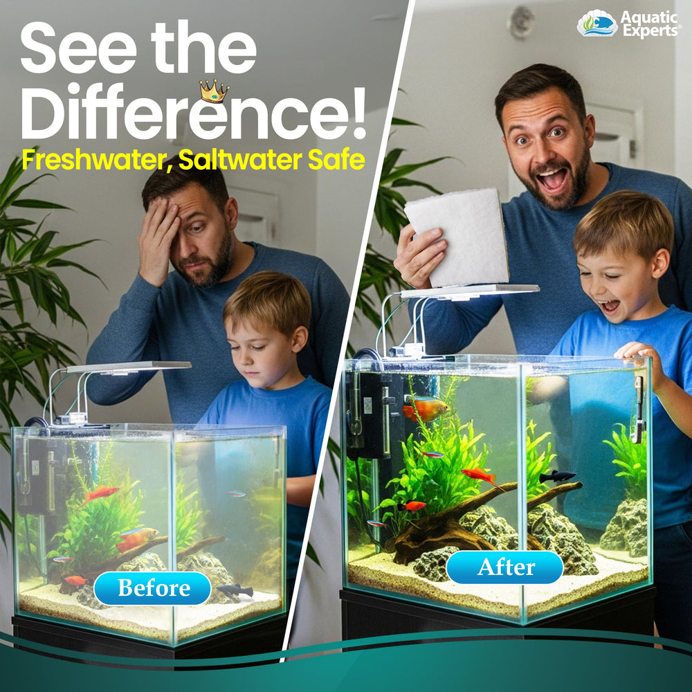 Aquatic Experts gros plan des fibres polyester double-densité, capture efficace