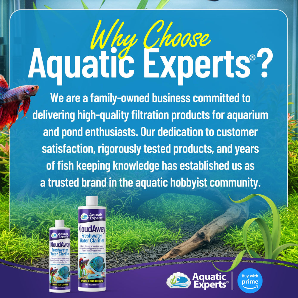 Aquatic Experts aquarium décoré dans salon, montre résultat esthétique et naturel