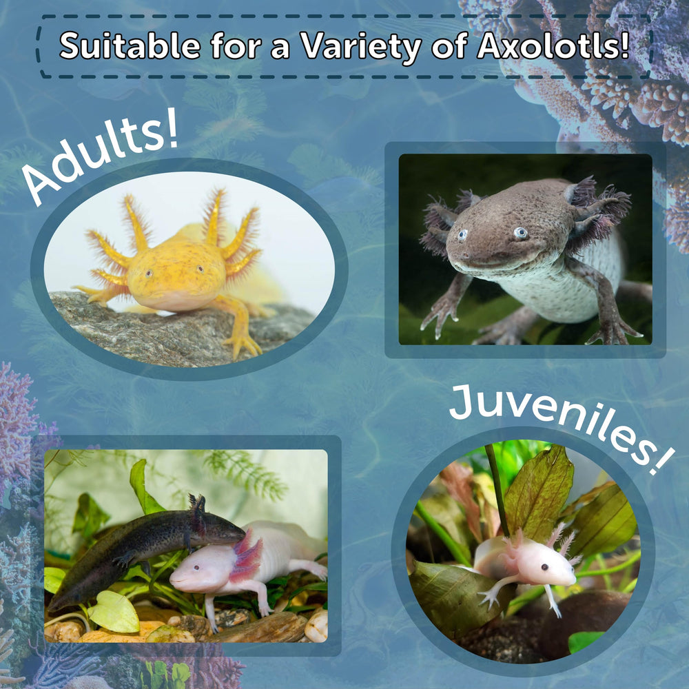 Aquatic Foods Inc. granulés coulants dans l’eau illustrant sinkage et attractivité