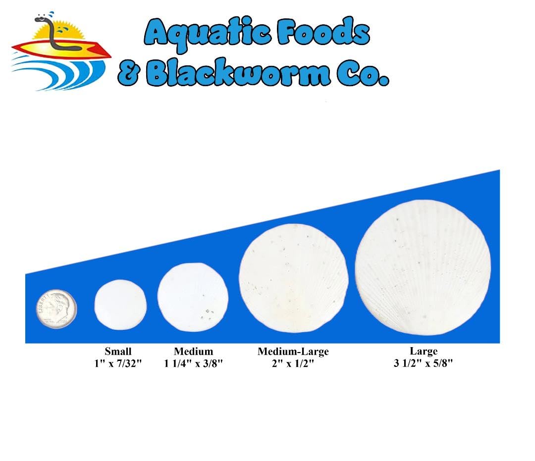 Comparaison visuelle petit disque Aquatic Foods Inc. adapté aux crevettes et jeunes invertébrés