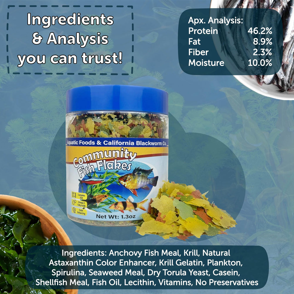 Aquatic Foods Inc. wafer gros plan démontrant densité et tenue en eau pour poissons de fond