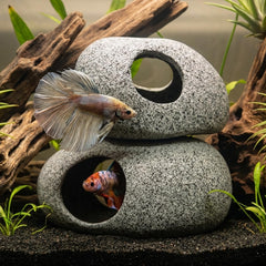 Aquazoo grotte abri pour crevettes facilitant la mue et protection