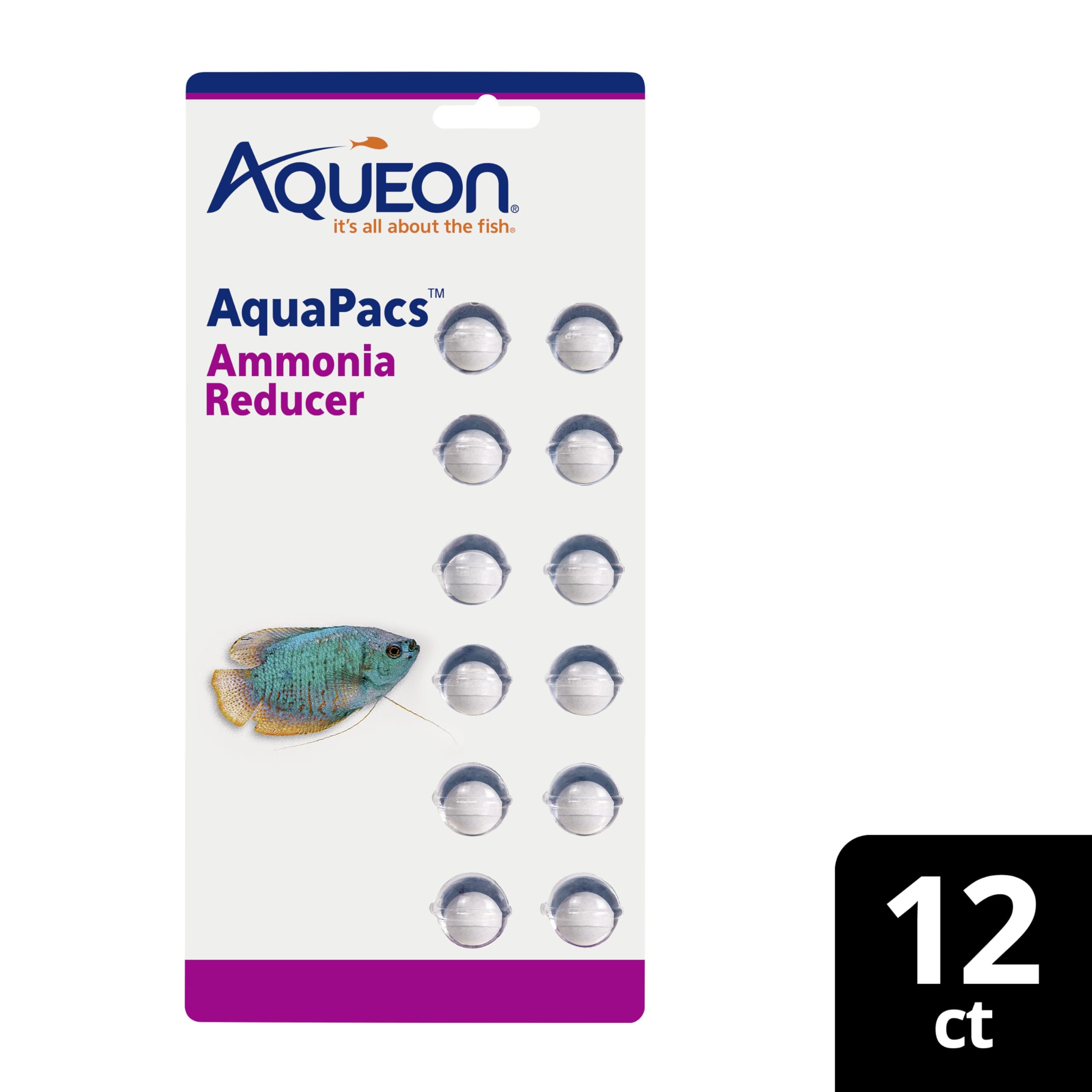 Aqueon aquarium avec poissons montrant environnement plus sûr