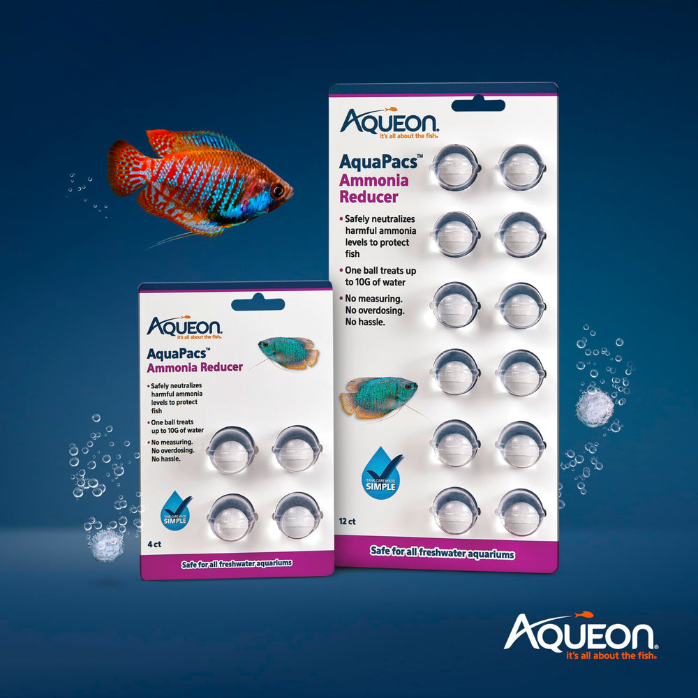 Aqueon pastille dans la main pour démontrer dose pré-mesurée sûre
