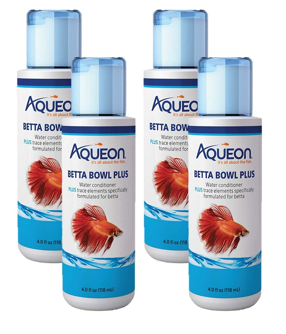 Aqueon bouteille devant conditionneur pour eau sécurisée rapidement