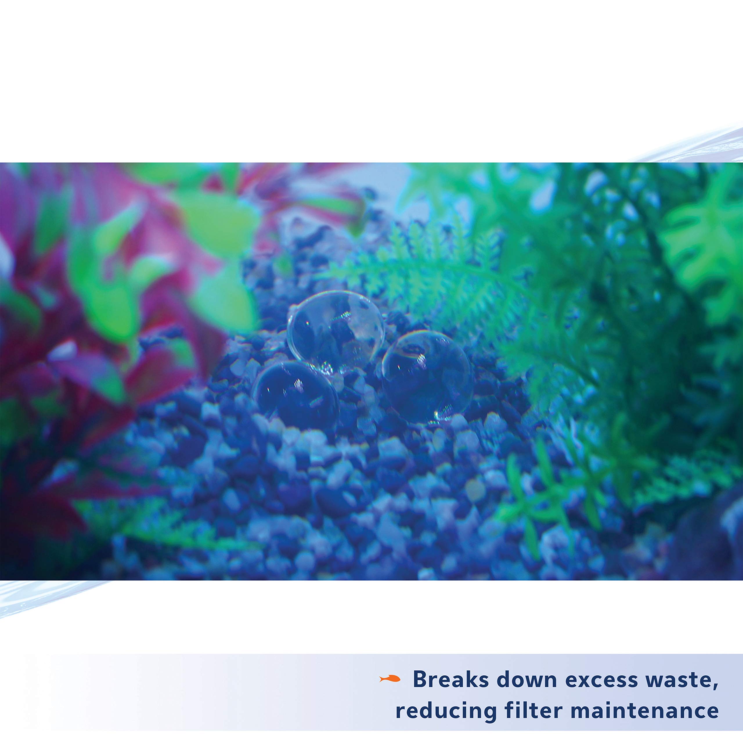 Aqueon comparaison taille pour aquarium 10 gallons et dose unique