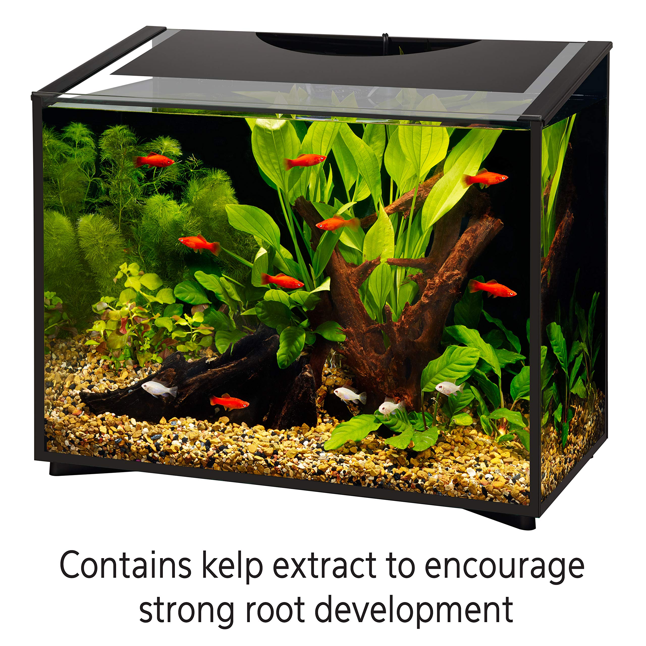 Aqueon ajout du produit dans l'aquarium pour nourrir les plantes