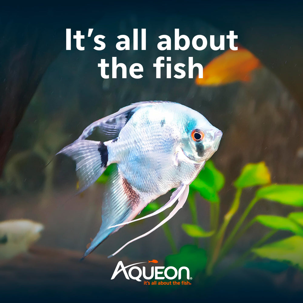 Aqueon granulés en train de couler dans l'aquarium, favorise consommation efficace