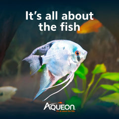 Aqueon granulés en train de couler dans l'aquarium, favorise consommation efficace