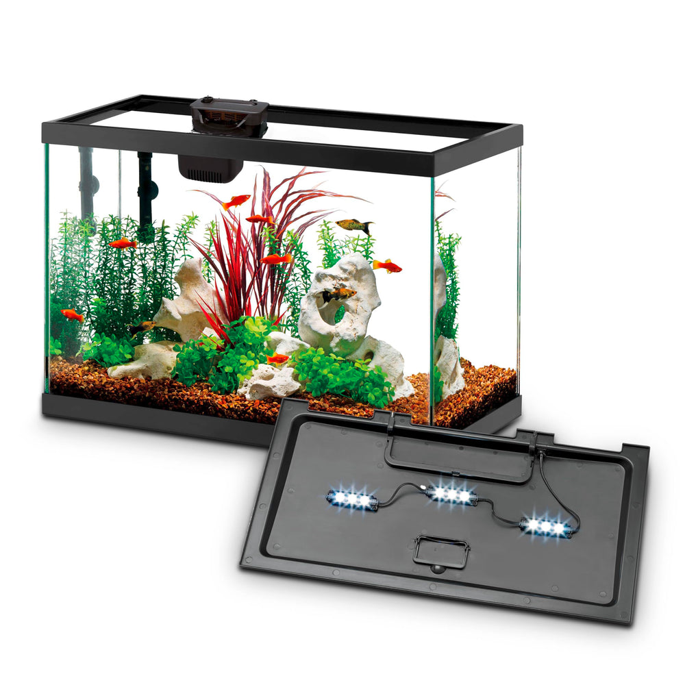 Aqueon vue frontale de l'aquarium complet, installation rapide et esthétique