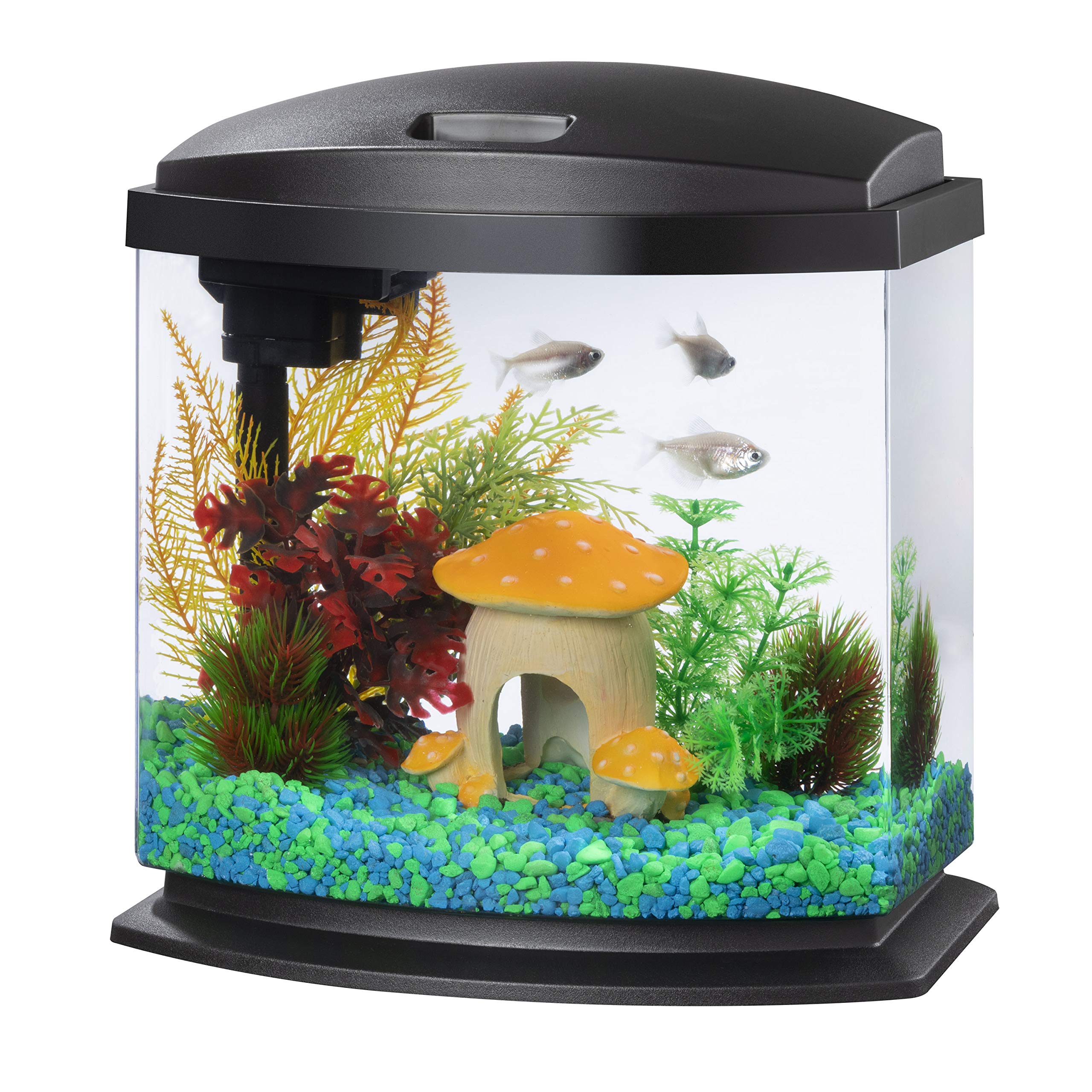 Aqueon vue frontale de l'aquarium compact pour intégration discrète