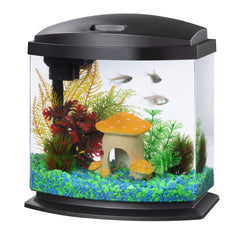 Aqueon vue frontale de l'aquarium compact pour intégration discrète