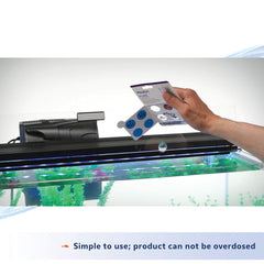 Aqueon sphères près de la sortie du filtre pour colonisation rapide