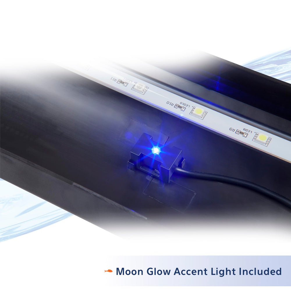 Aqueon deux rampes LED sur grand aquarium pour couverture lumineuse uniforme
