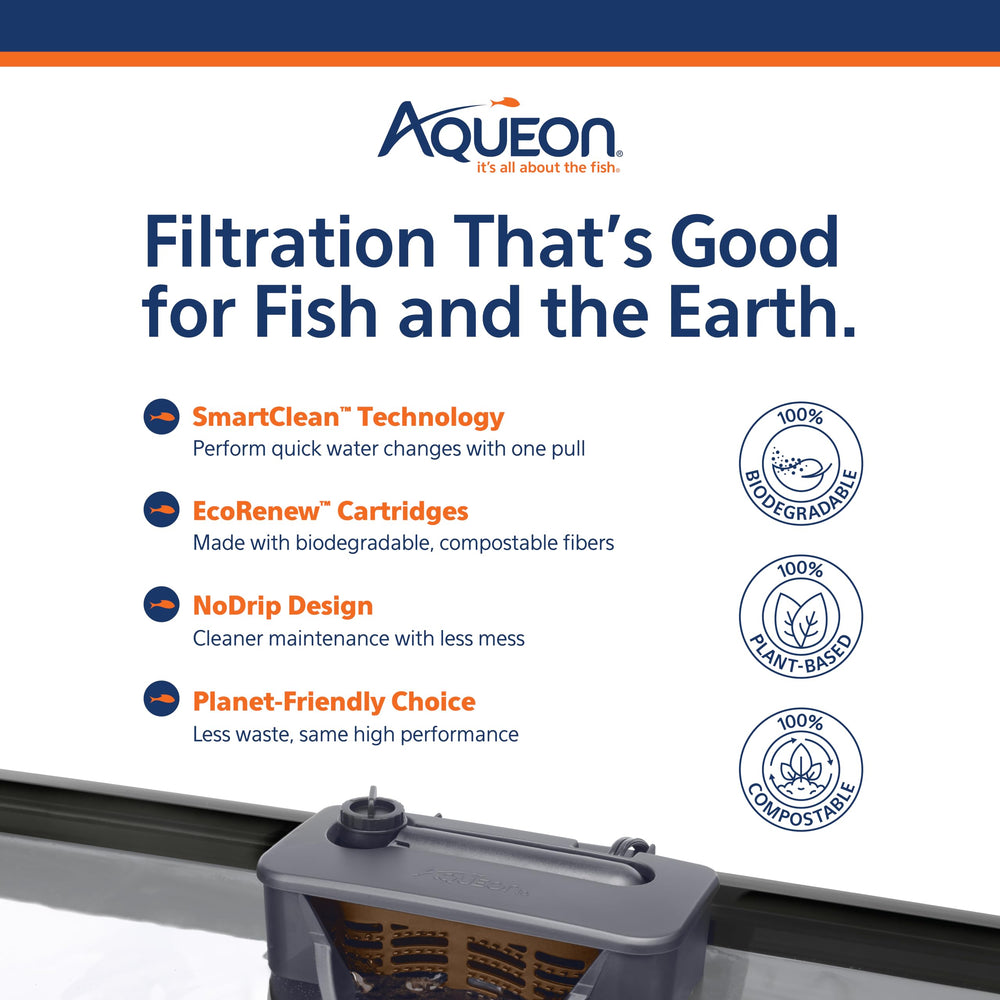 Aqueon intérieur avec poissons et plantes, habitat sain et visuel attractif