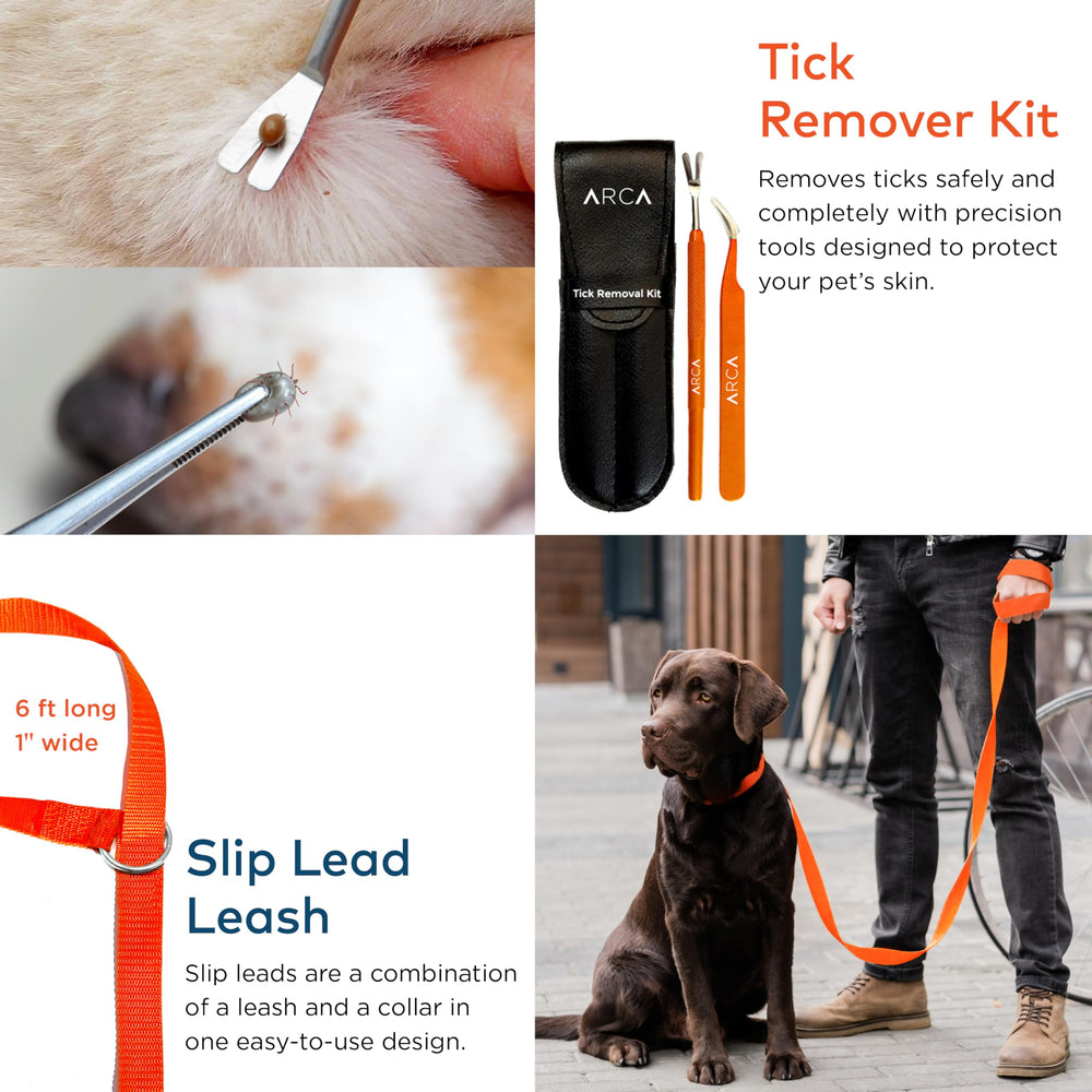ARCA PET thermomètre et enlève-tiques, outils précis pour premiers soins