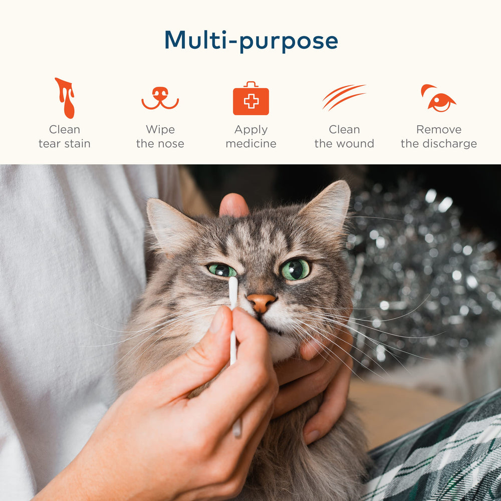 ARCA PET utilisé sur un chaton, douceur adaptée aux petits