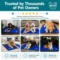 Arf Pets chien allongé sur le tapis profitant d'un confort rafraîchissant