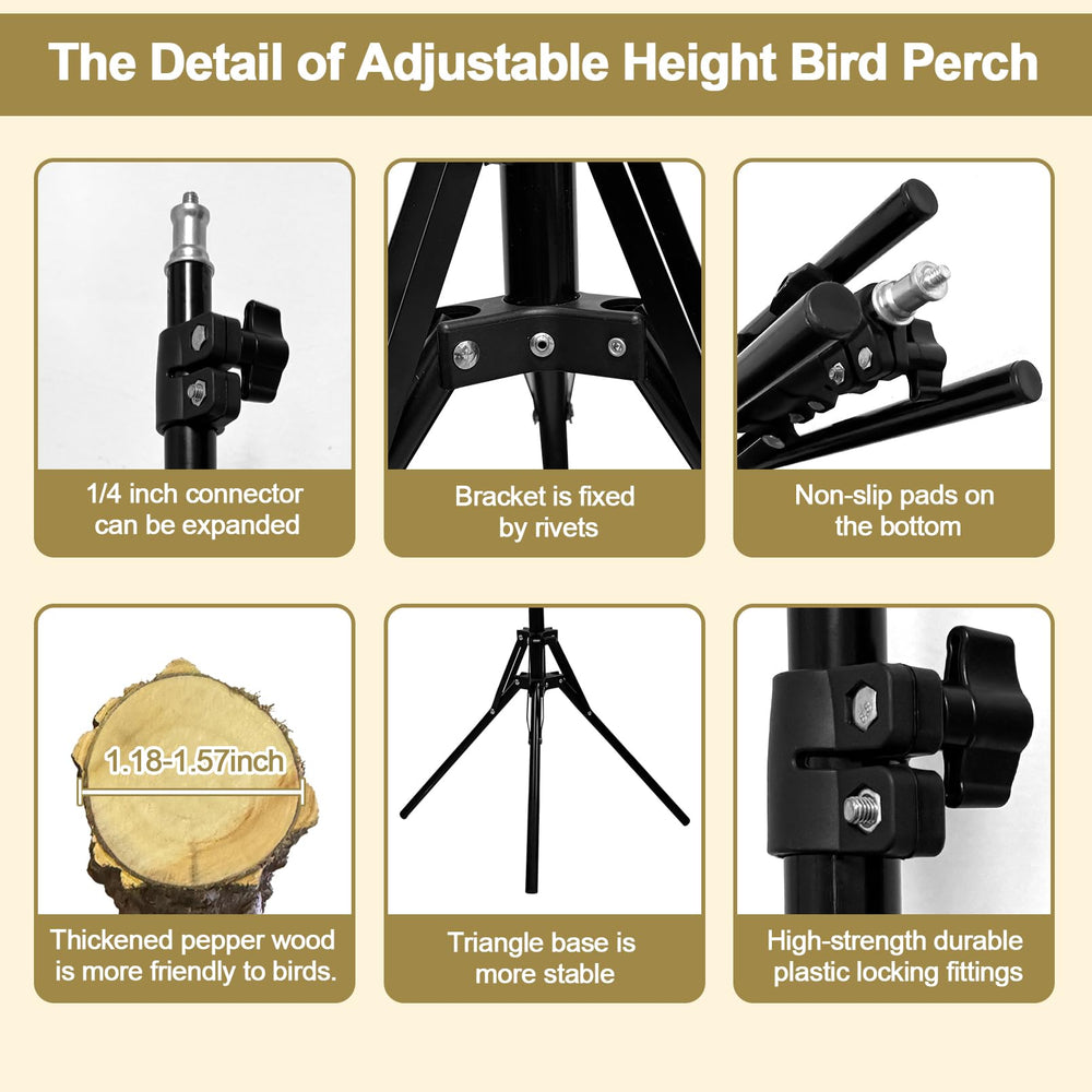 Arfubye perchoir en situation avec oiseau favorisant interactions humaines