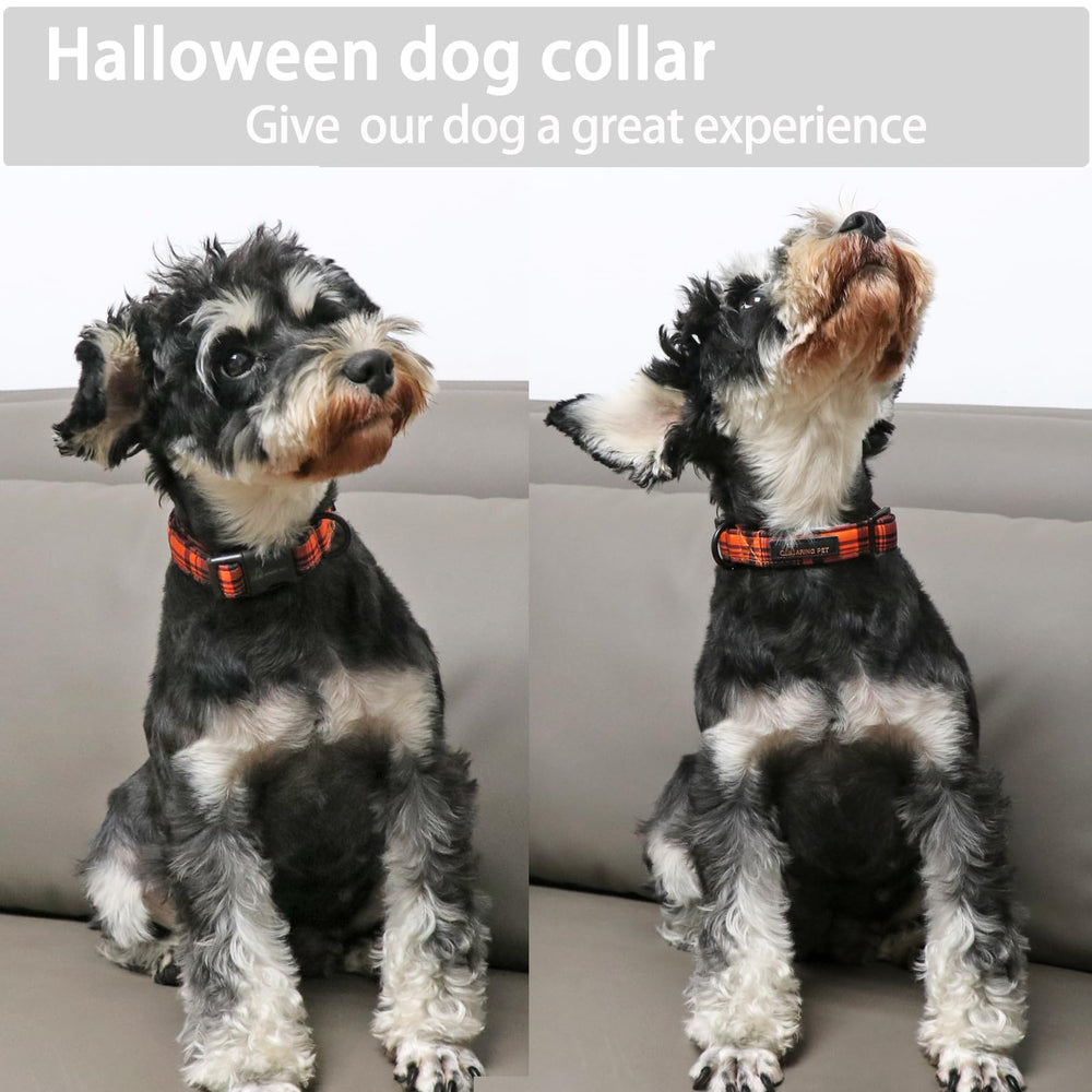 Aring pet collier posé à côté d'une règle pour visualiser la taille