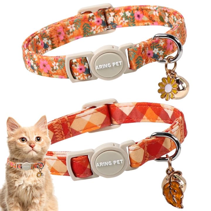 ARING PET collier pack face avant montrant les deux motifs pour un look élégant