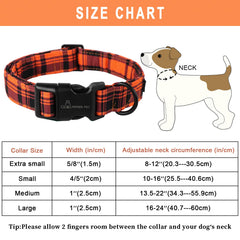 Aring pet collier porté sur petit chien, style automnal confortable