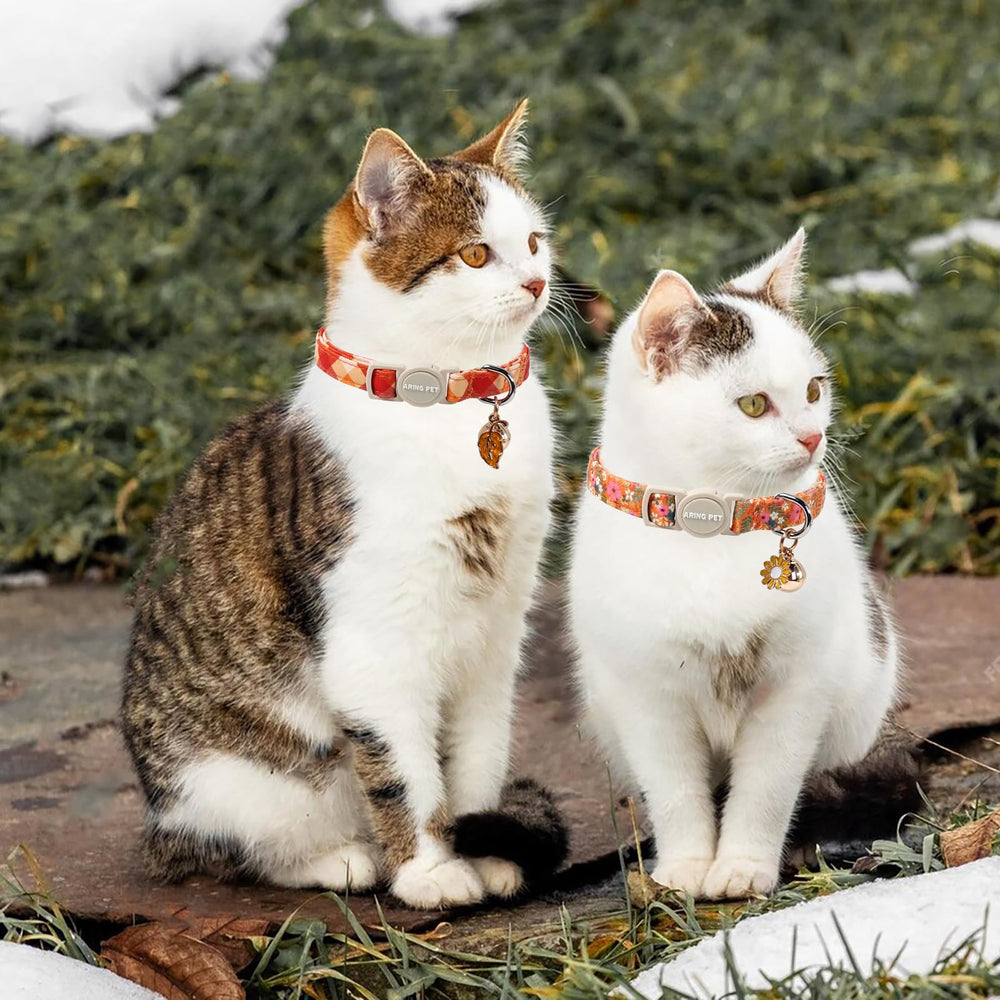 ARING PET gros plan tissu floral confortable pour peau de chat et style