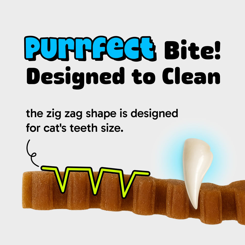 ARI'S PURRFECT chat mange la bouchée promotion d'une routine quotidienne