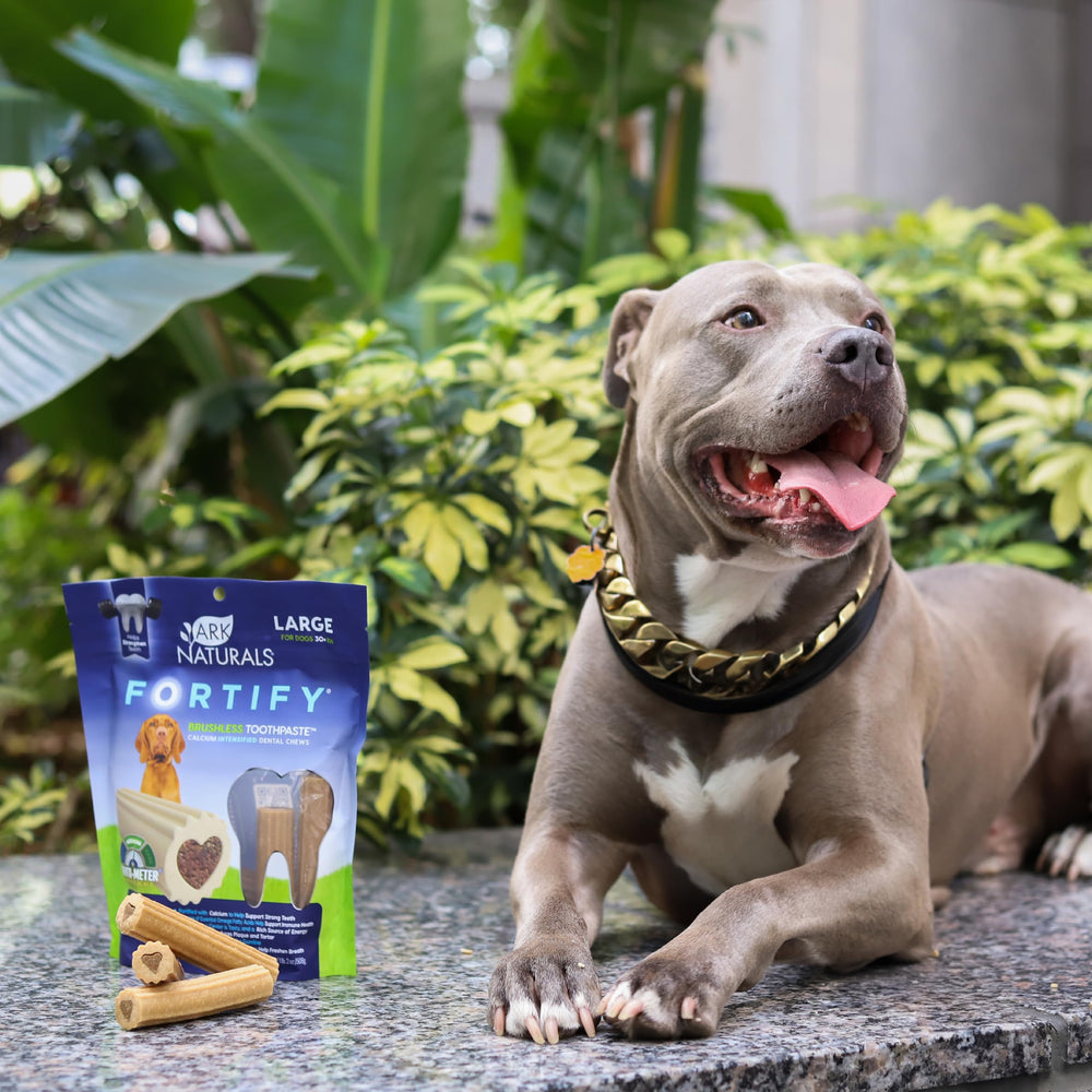 ARK NATURALS chien mâchant chew démontrant nettoyage par mastication
