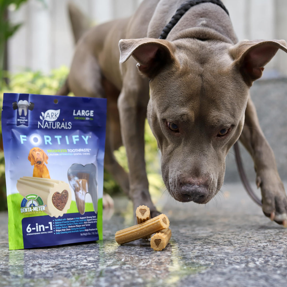 ARK NATURALS chien gros plan sourire indiquant haleine rafraîchie
