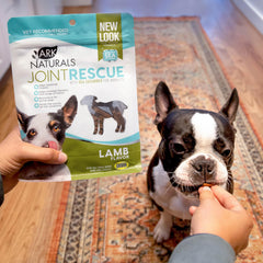 Ark Naturals gros plan sur la texture du chew, appétence et mastication facile