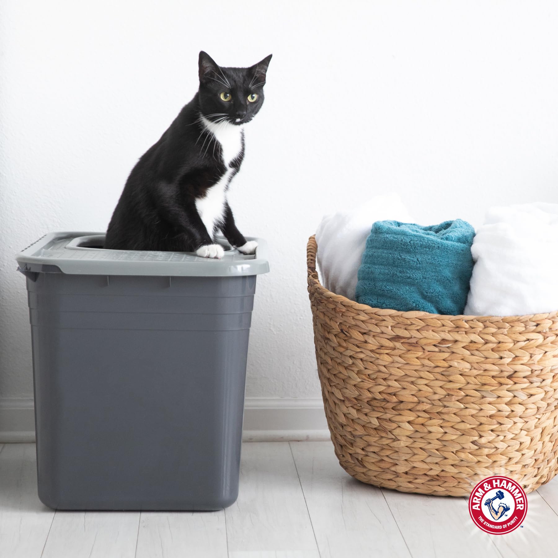 ARM & HAMMER bac posé à côté d’un chat pour comparer la taille et confort