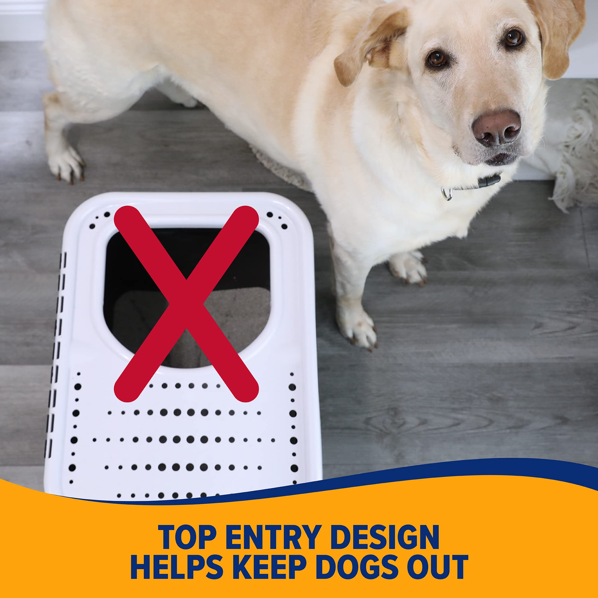 ARM & HAMMER chat utilisant le bac top entry, réduit la dispersion de litière