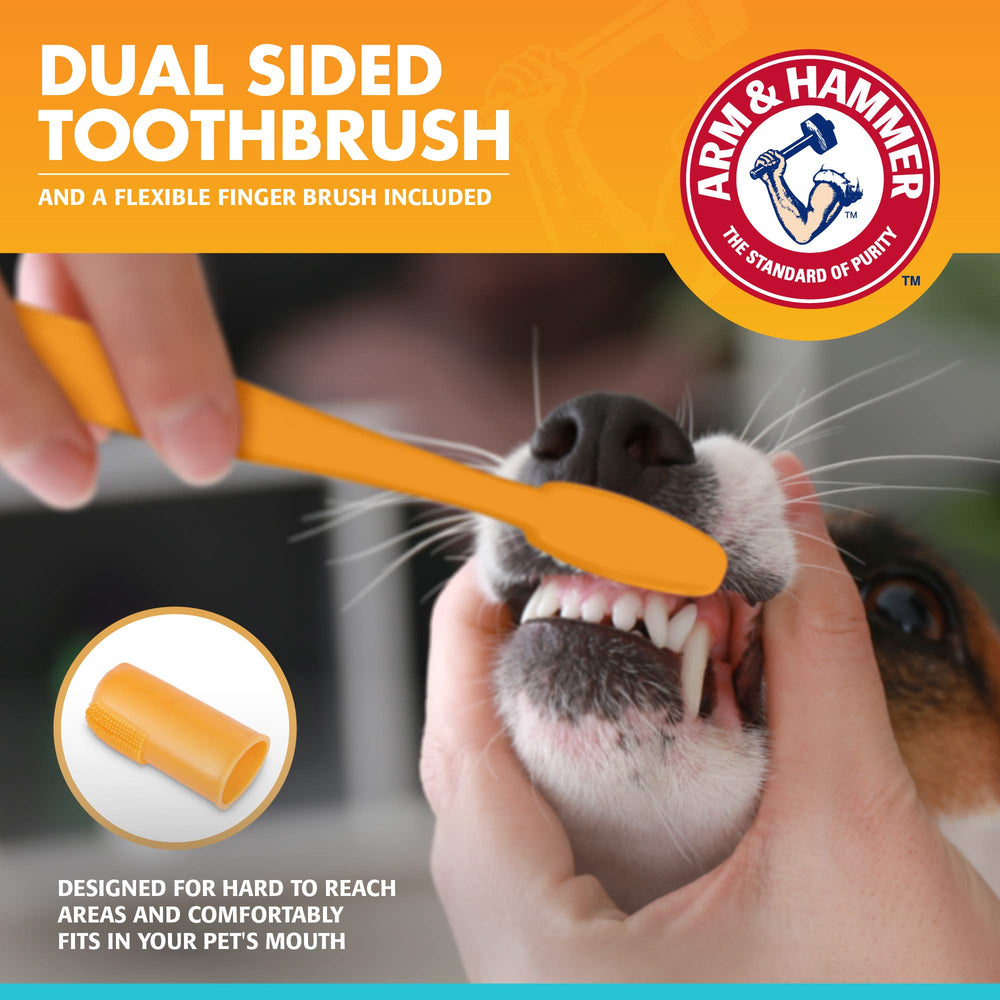 Arm & Hammer brosse à dents pour chien affichant design et efficacité de brossage