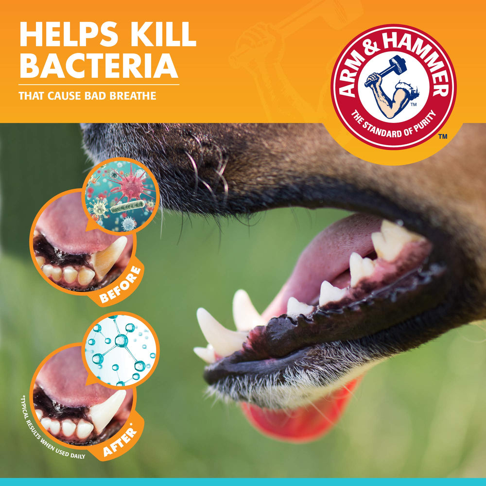 Arm & Hammer brosse à doigt en gros plan facilitant l'initiation au brossage